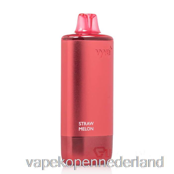 Elektronische Sigaret Vape Vyve 10000 Wegwerp-stromeloen
